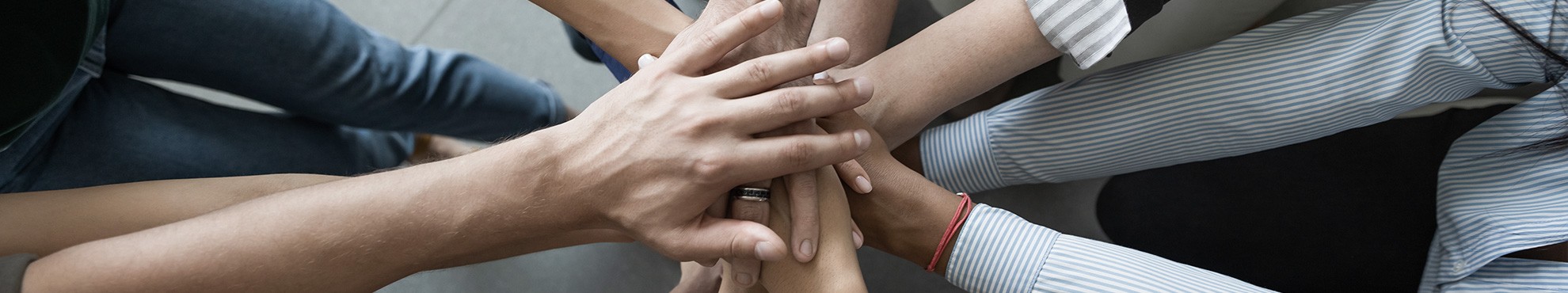 人才招募 人才招募